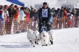 Lenk 2013
